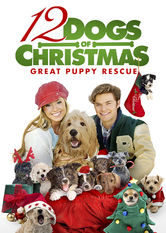 12 Dogs of Christmas: Great Puppy Rescue